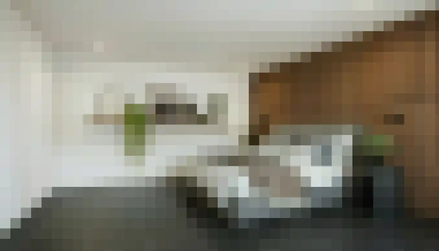 De Heiningen 19 Dorst thumbnail 52