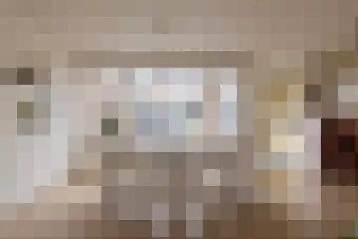 De Heiningen 19 Dorst thumbnail 53