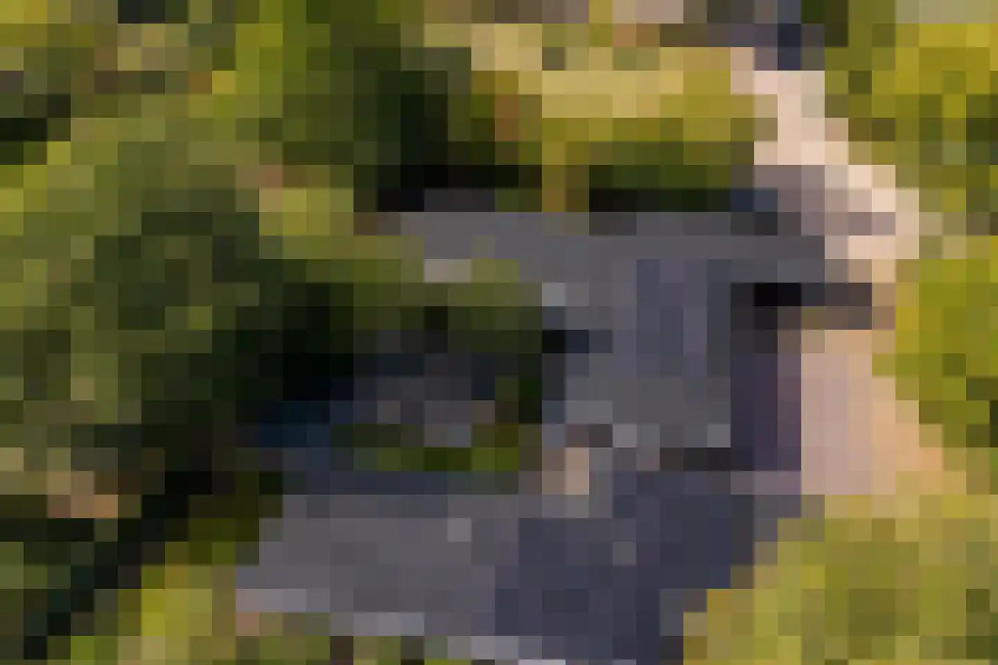 De Heiningen 19 Dorst thumbnail 55