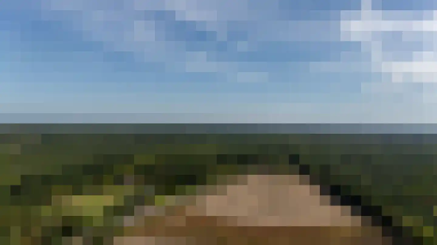 De Heiningen 19 Dorst thumbnail 58