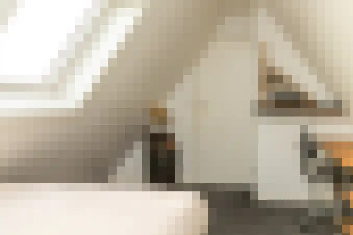De Hel 9 Randwijk thumbnail 31