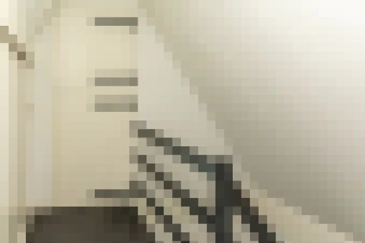 De Hel 9 Randwijk thumbnail 33