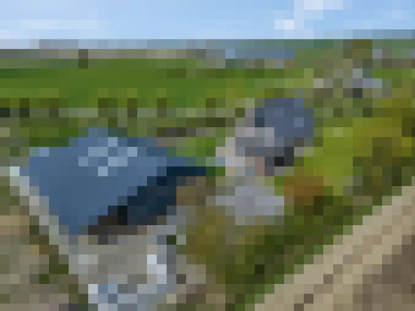De Hel 9 Randwijk thumbnail 4