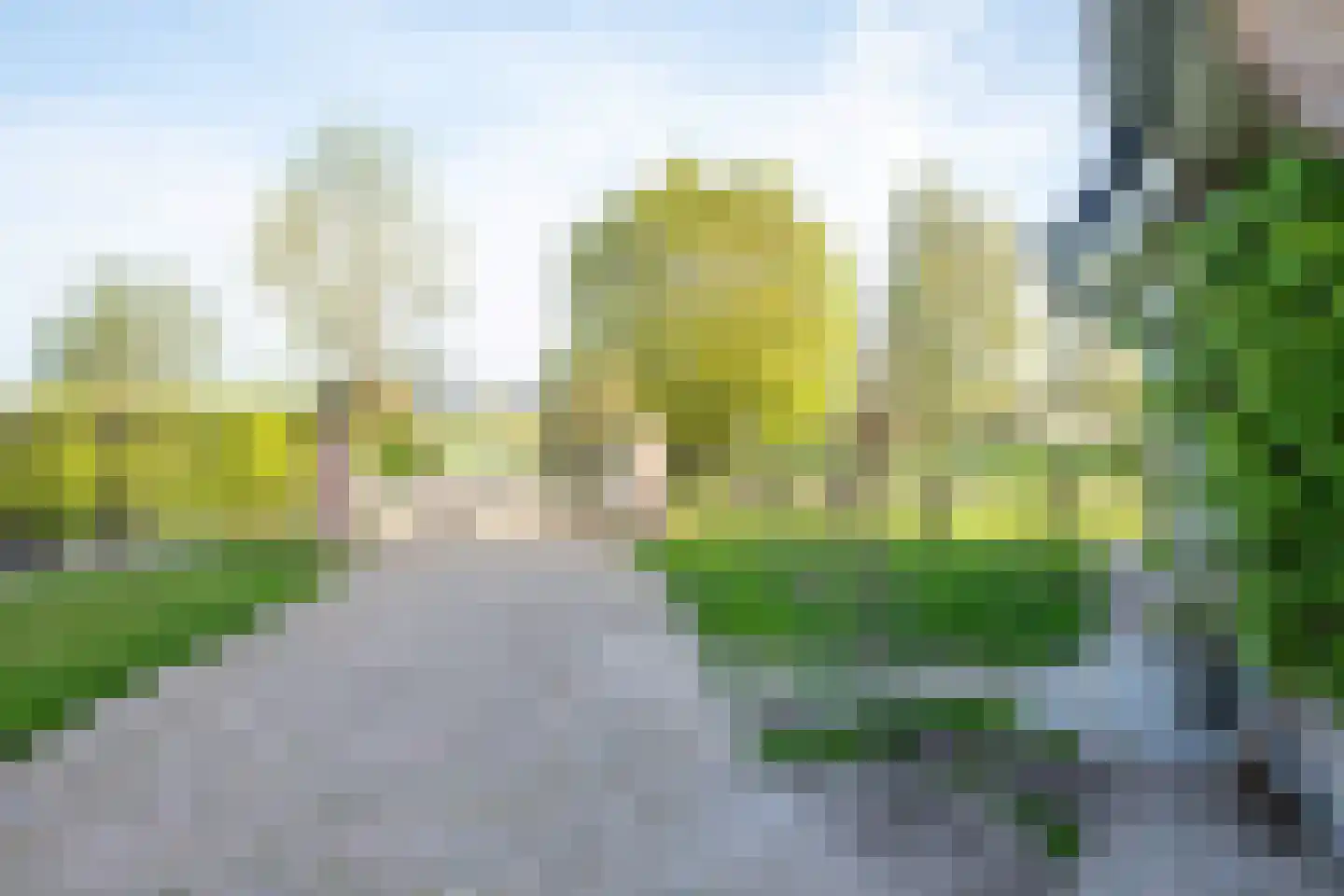 De Hel 9 Randwijk thumbnail 40