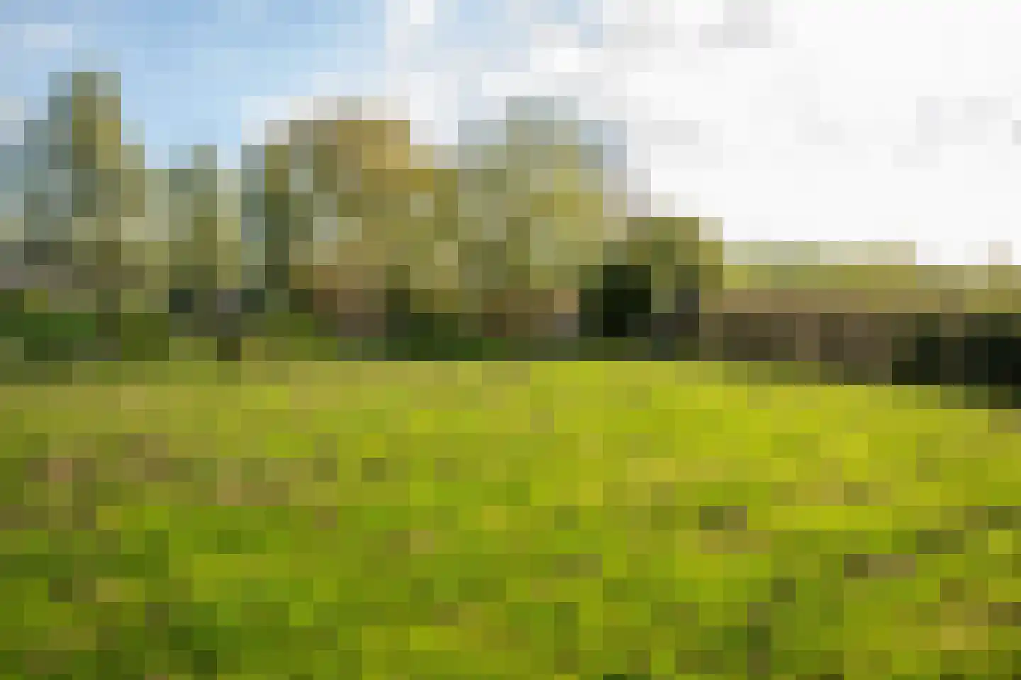 De Hel 9 Randwijk thumbnail 41