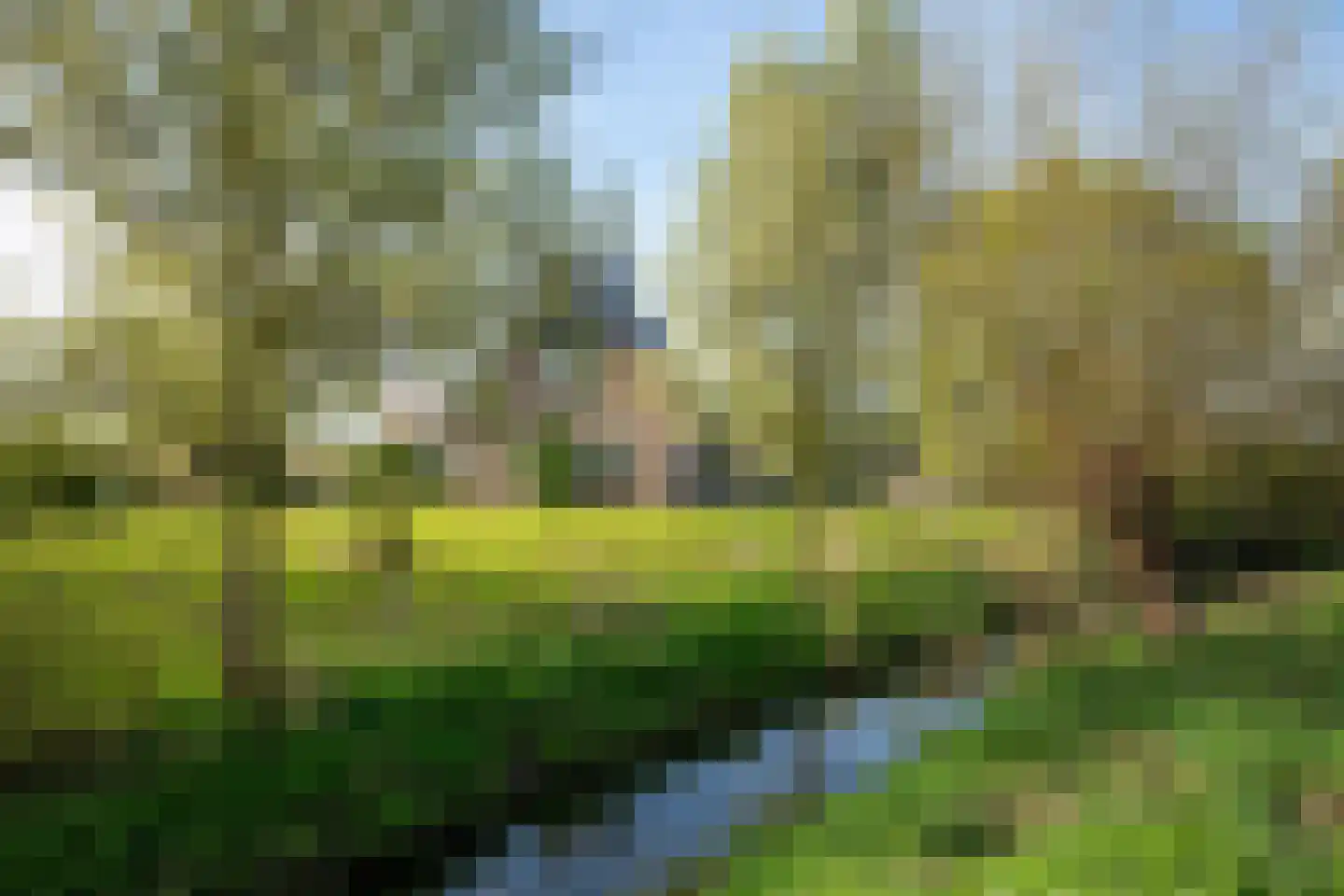 De Hel 9 Randwijk thumbnail 43