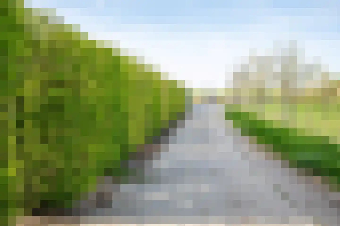 De Hel 9 Randwijk thumbnail 46