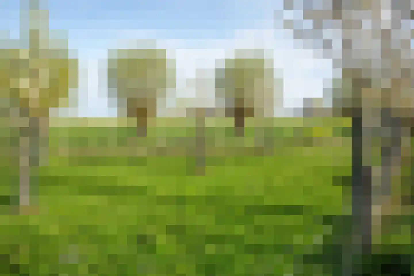 De Hel 9 Randwijk thumbnail 48