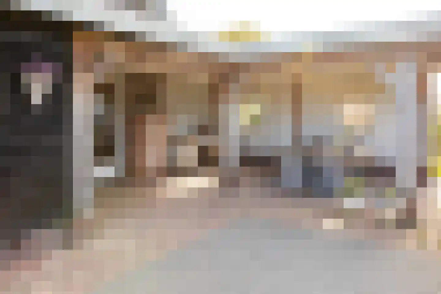 De Hel 9 Randwijk thumbnail 59