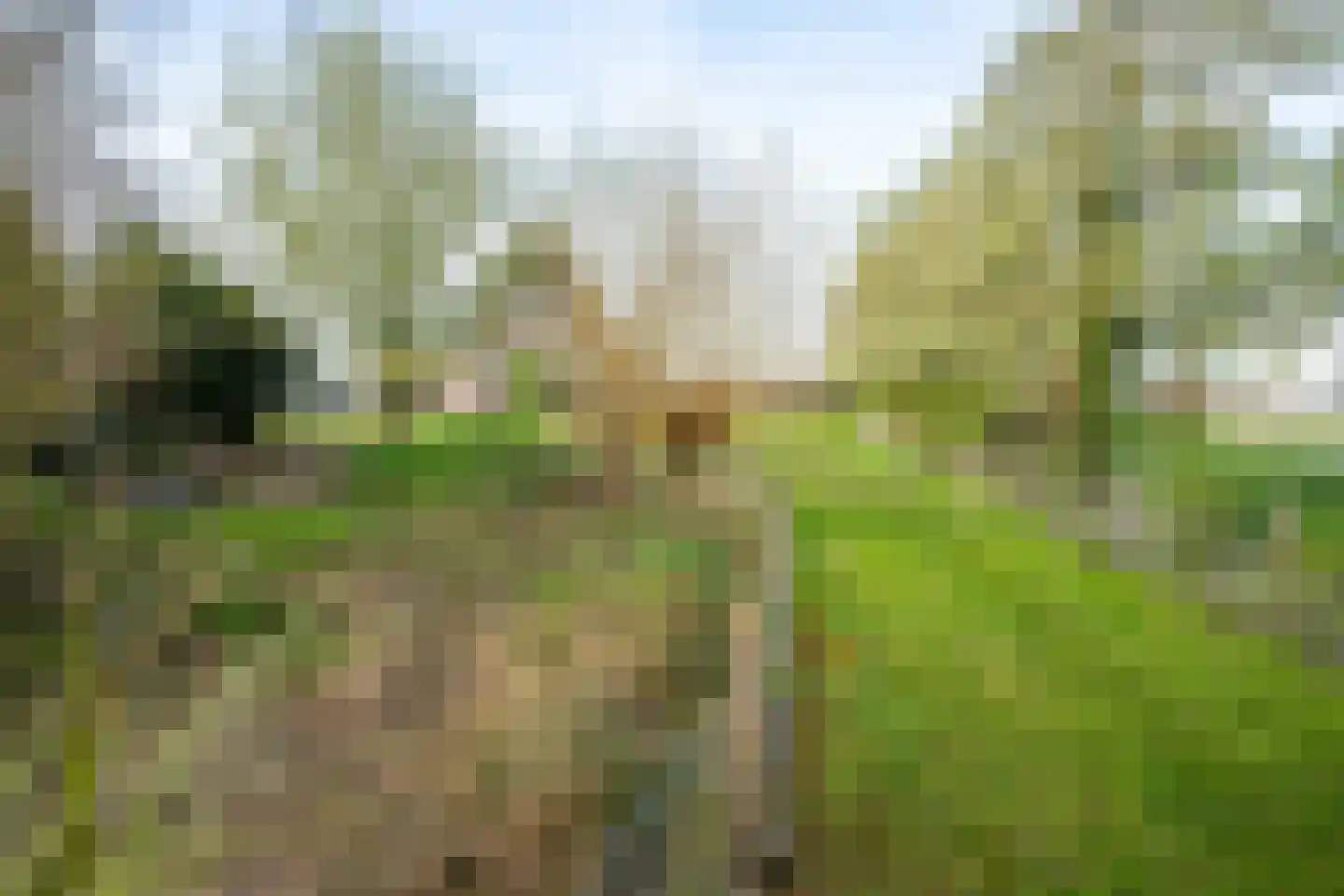 De Hel 9 Randwijk thumbnail 6