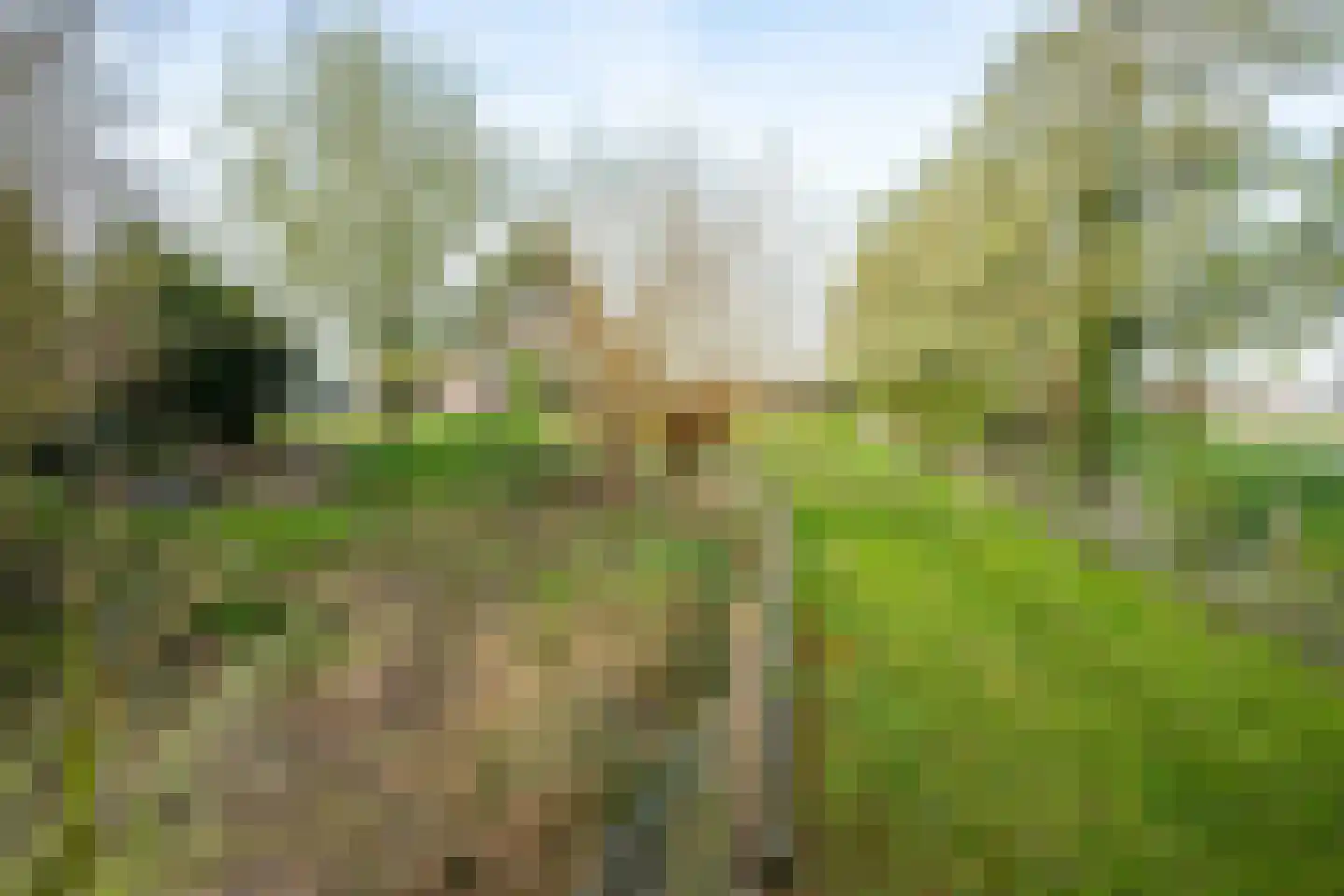 De Hel 9 Randwijk thumbnail 6