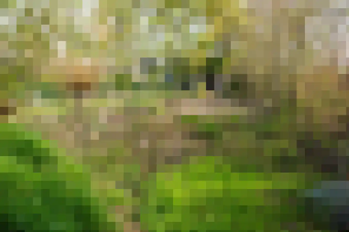 De Hel 9 Randwijk thumbnail 61