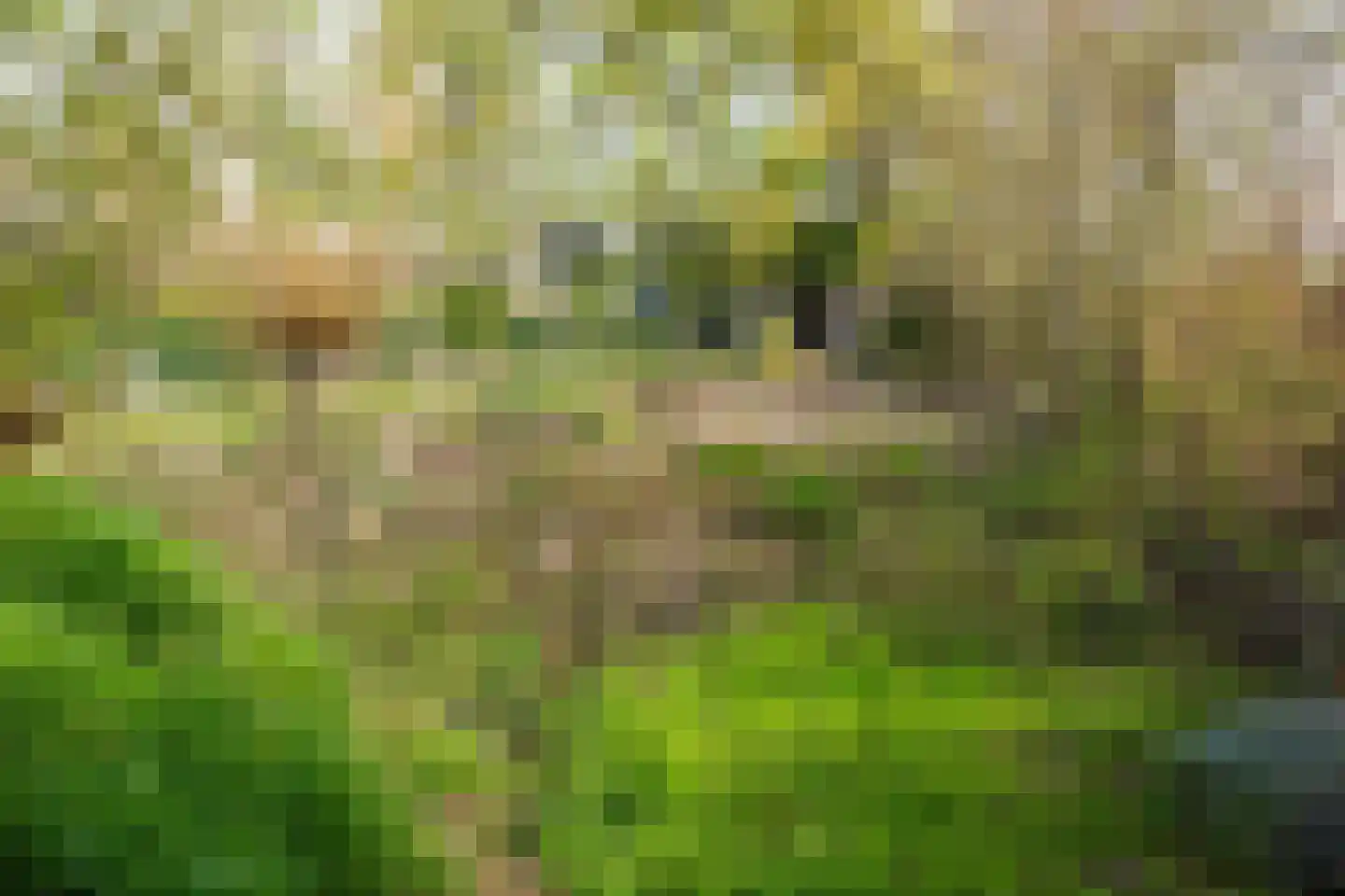 De Hel 9 Randwijk thumbnail 61