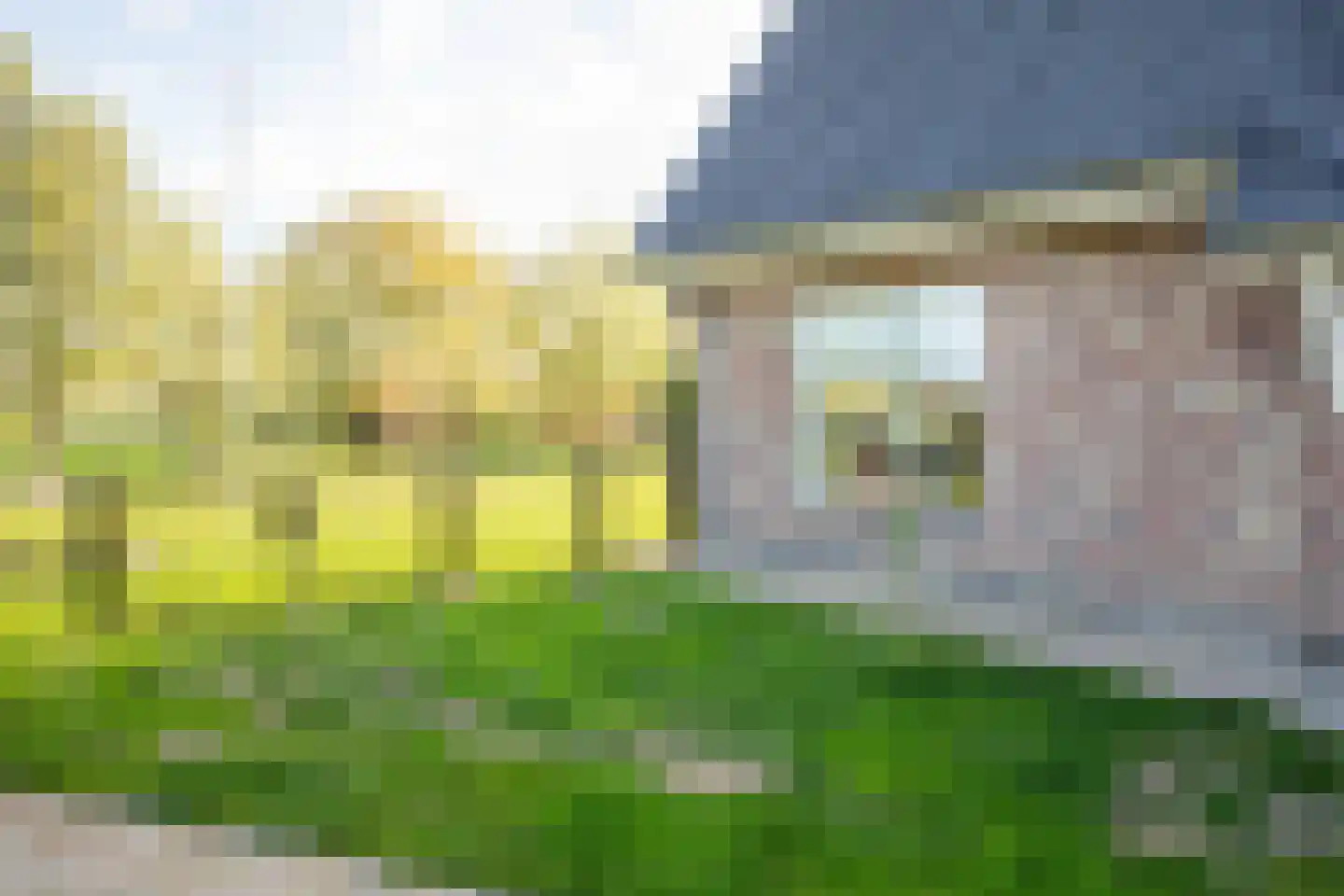 De Hel 9 Randwijk thumbnail 64