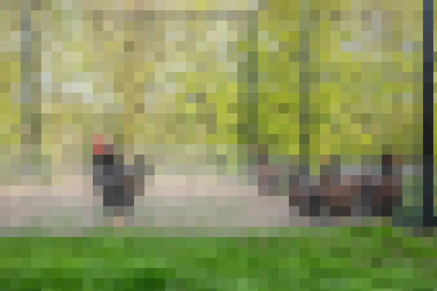 De Hel 9 Randwijk thumbnail 88