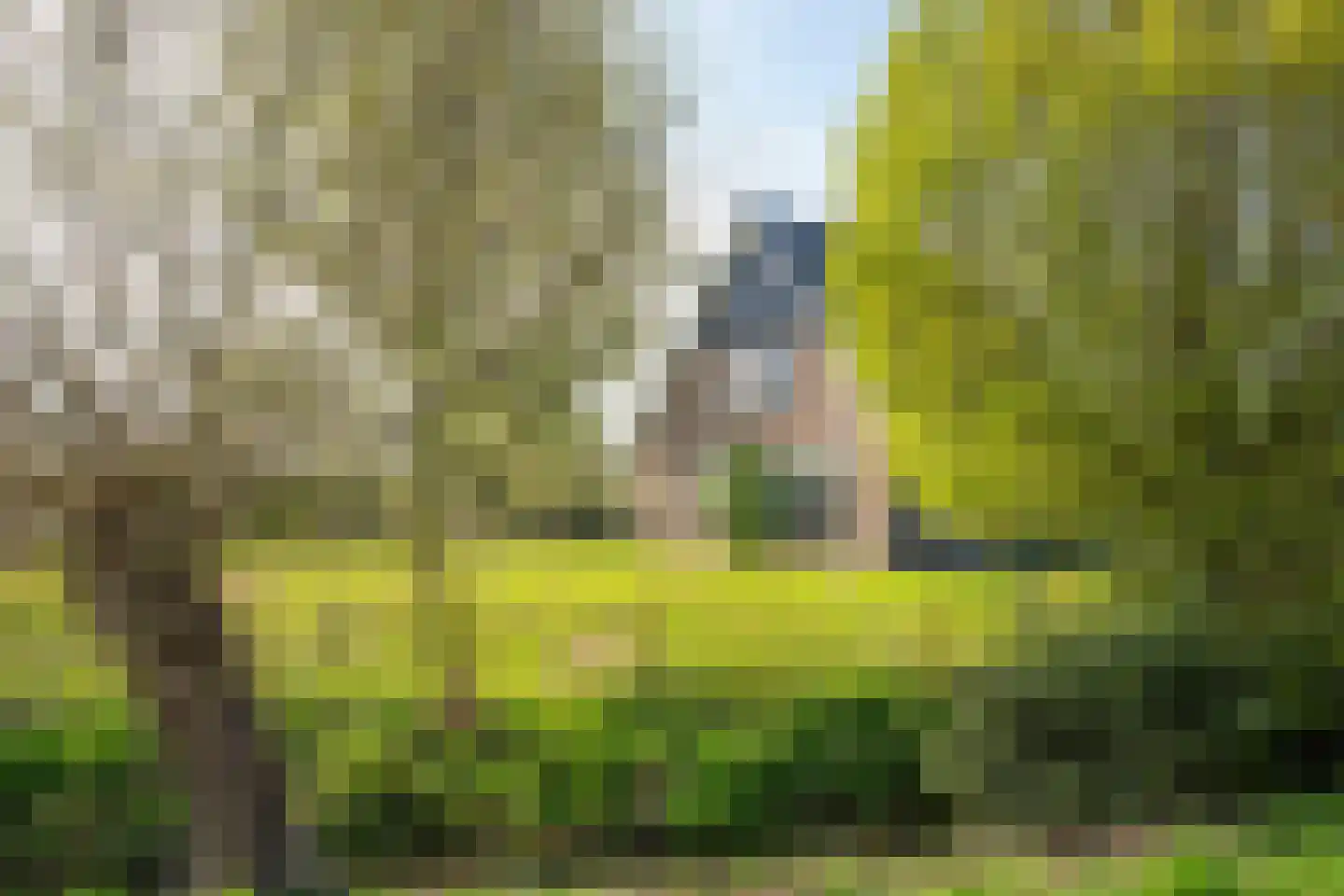 De Hel 9 Randwijk thumbnail 91