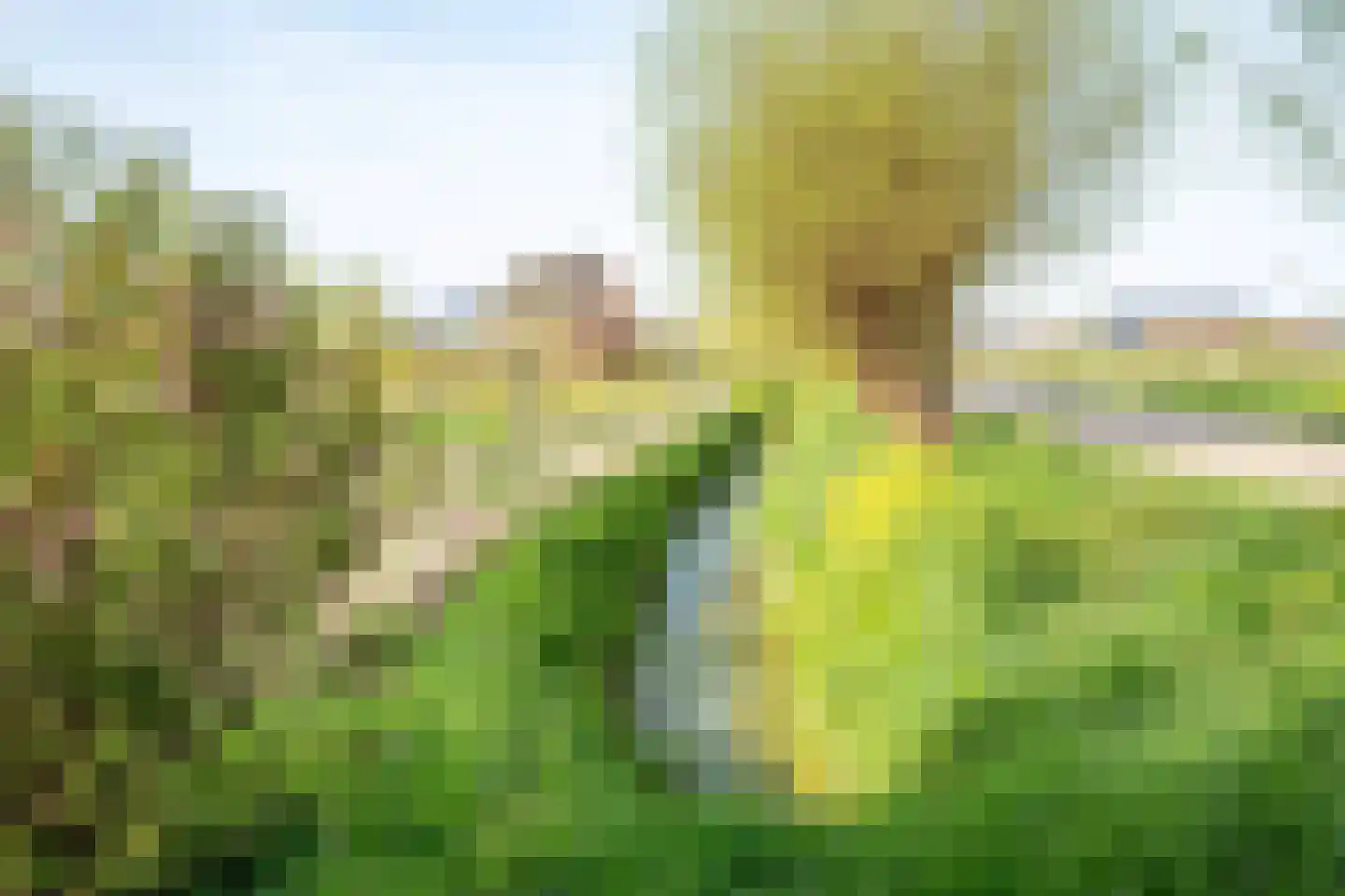 De Hel 9 Randwijk thumbnail 95