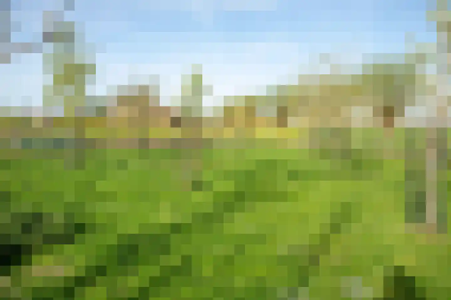 De Hel 9 Randwijk thumbnail 96