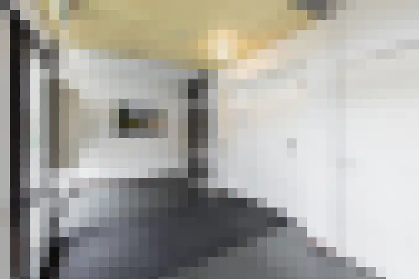 De Held 107 Groningen thumbnail 18
