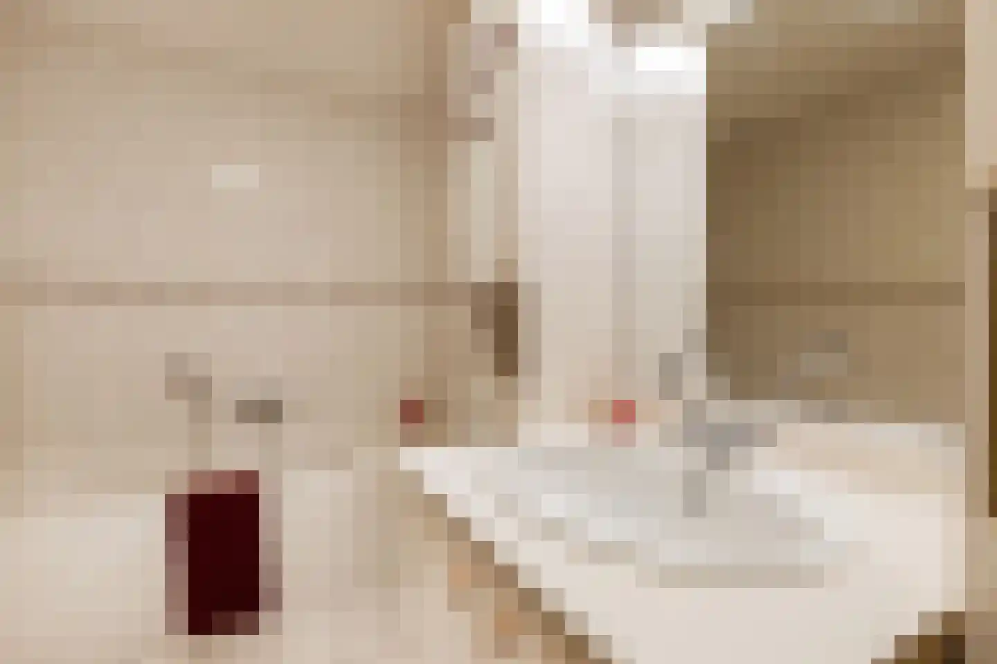 De Held 107 Groningen thumbnail 8