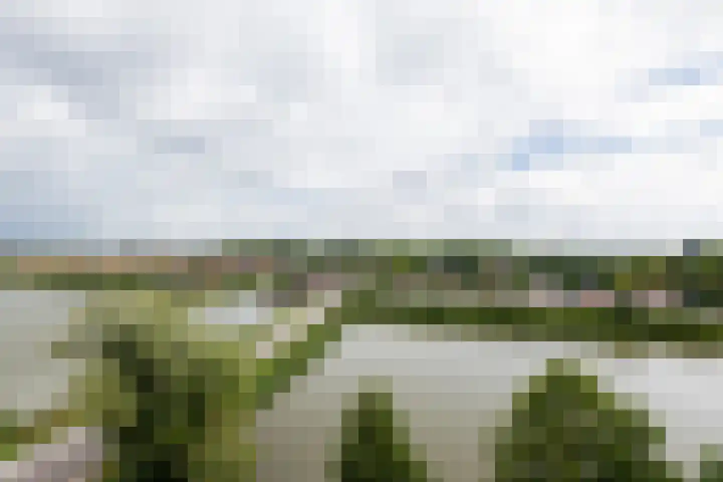 De Held 107 Groningen thumbnail 9