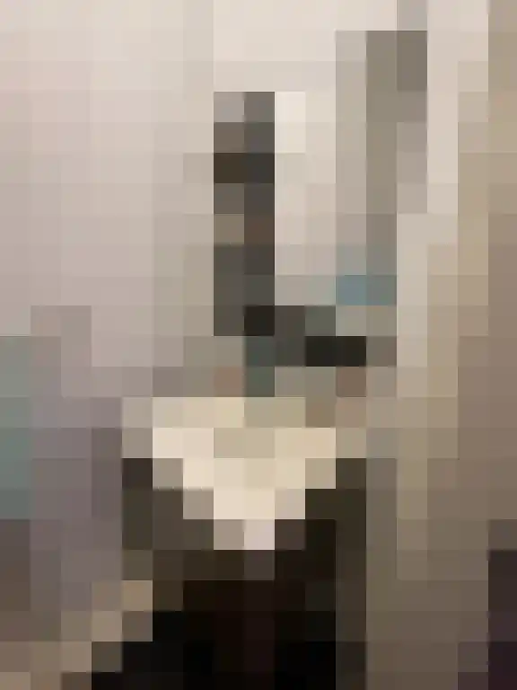 De Held 129 Groningen thumbnail 6