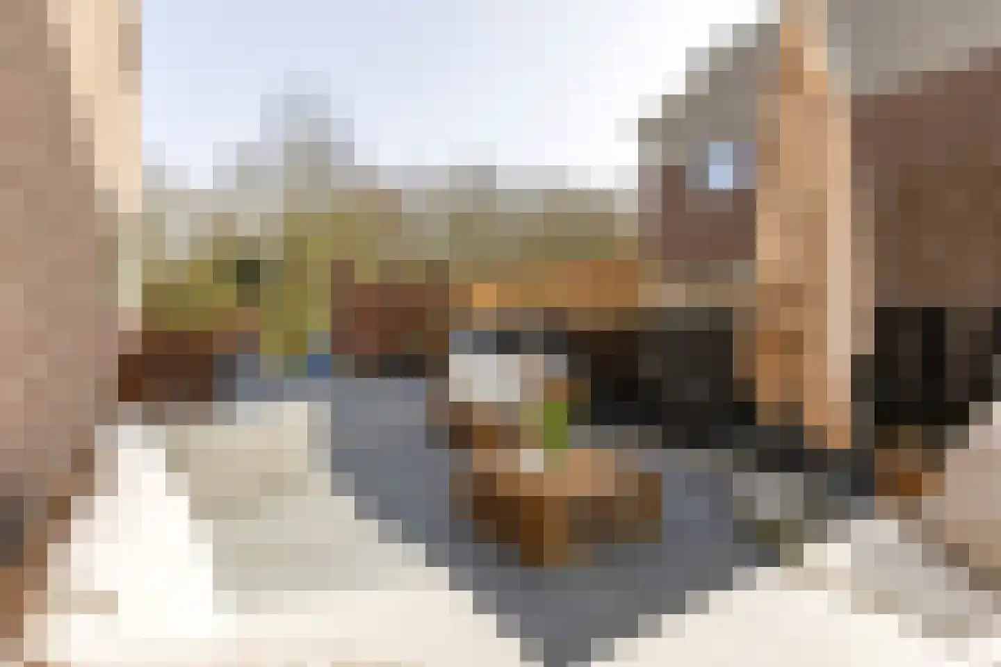 De Held 57 Groningen thumbnail 49