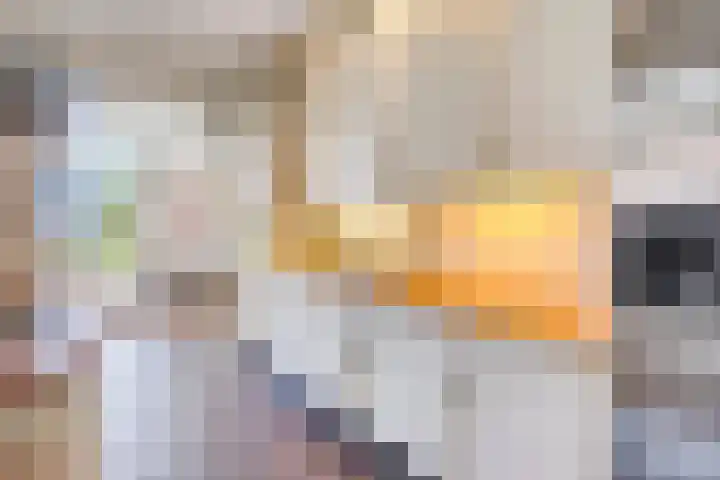 De Held 57 Groningen thumbnail 8