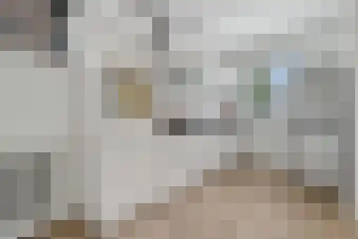 De Helle 6 Delden thumbnail 13