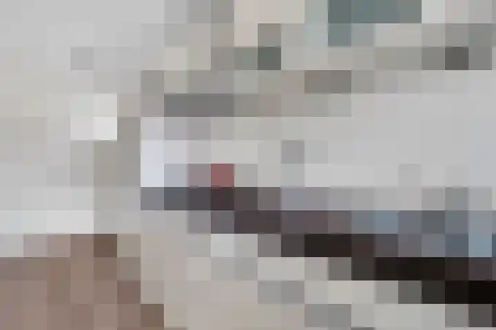 De Helle 6 Delden thumbnail 15