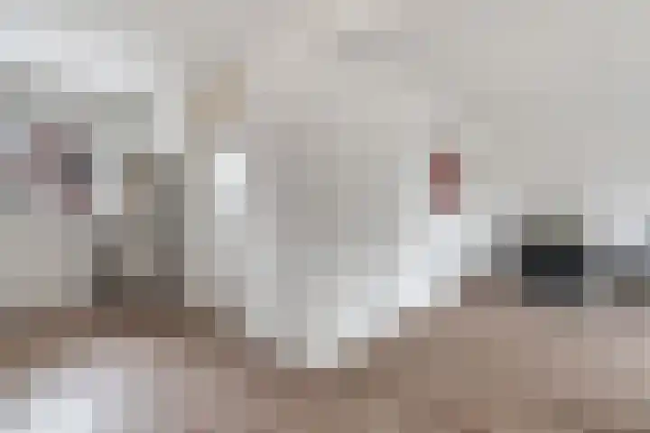 De Helle 6 Delden thumbnail 17