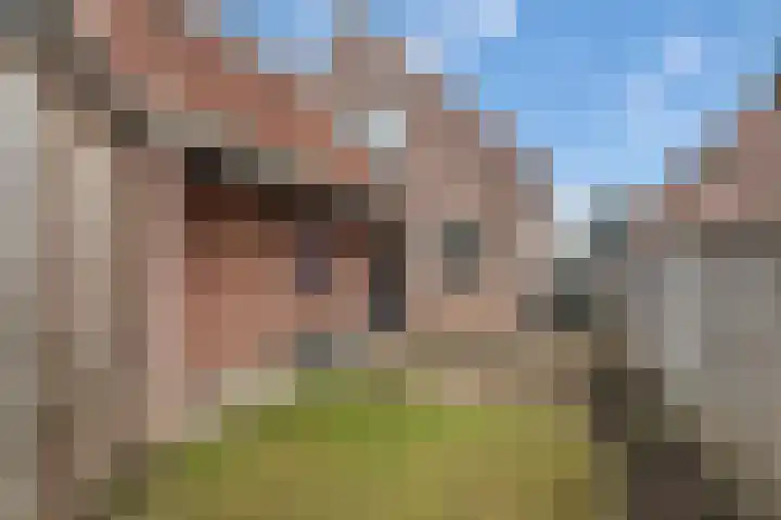 De Helle 6 Delden thumbnail 33