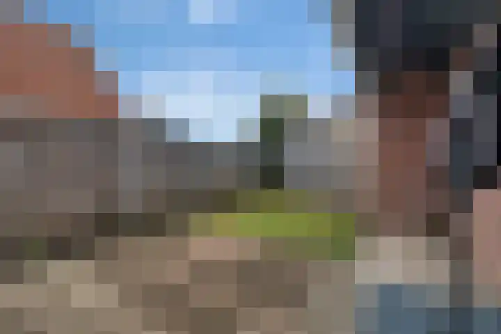 De Helle 6 Delden thumbnail 34