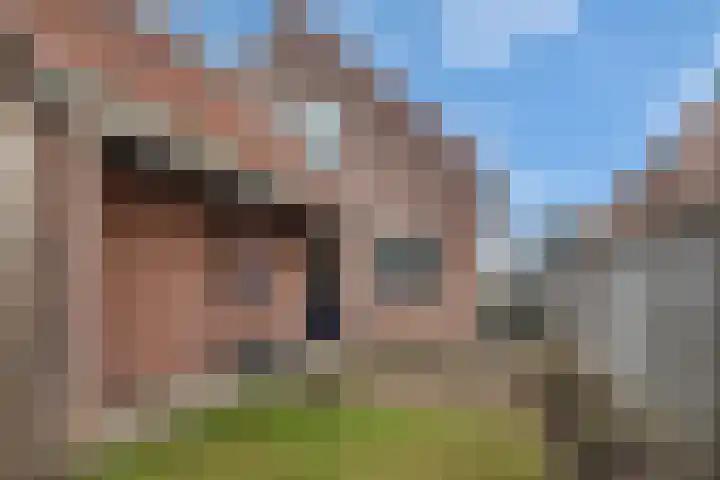 De Helle 6 Delden thumbnail 37