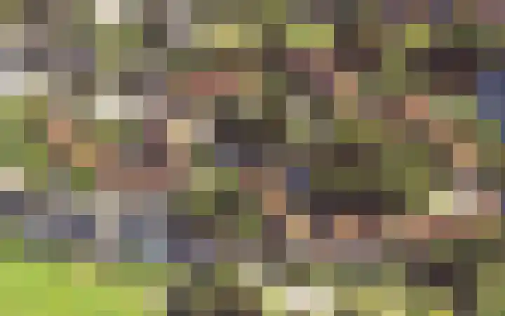 De Helle 6 Delden thumbnail 40