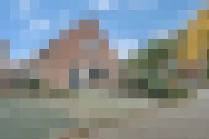 De Helle 6 Delden thumbnail 6