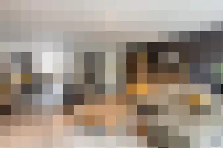 de Helleweikes 14 Oirschot thumbnail 12