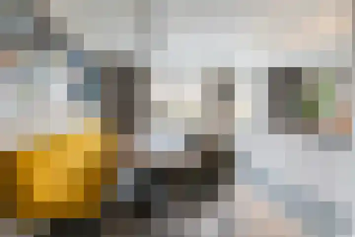 de Helleweikes 14 Oirschot thumbnail 14