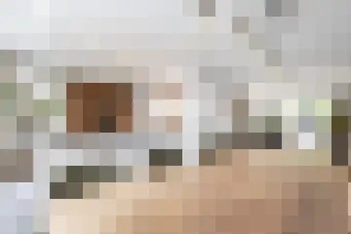 de Helleweikes 14 Oirschot thumbnail 15