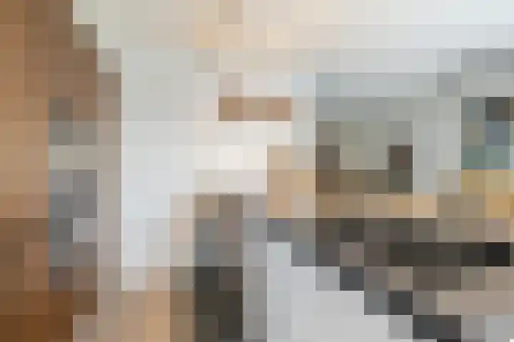 de Helleweikes 14 Oirschot thumbnail 17