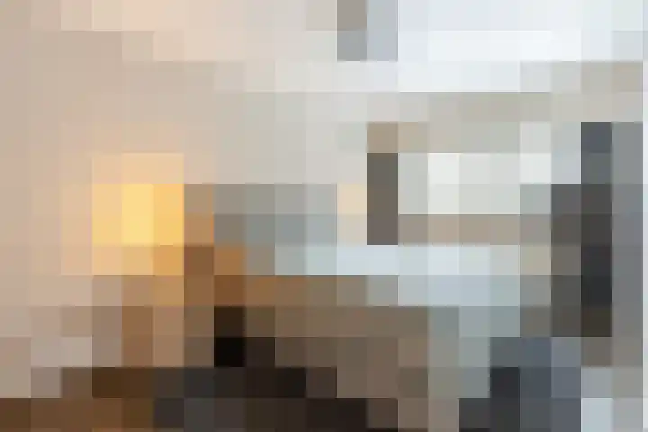 de Helleweikes 14 Oirschot thumbnail 19
