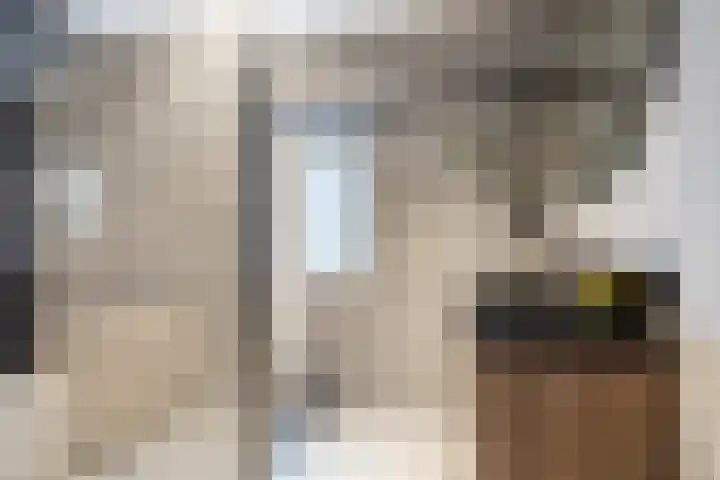 de Helleweikes 14 Oirschot thumbnail 22