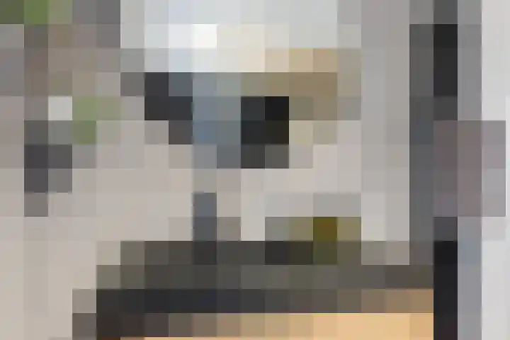 de Helleweikes 14 Oirschot thumbnail 24