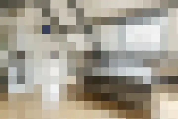 de Helleweikes 14 Oirschot thumbnail 26