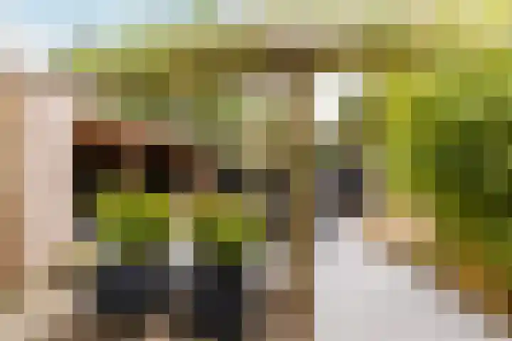 de Helleweikes 14 Oirschot thumbnail 28