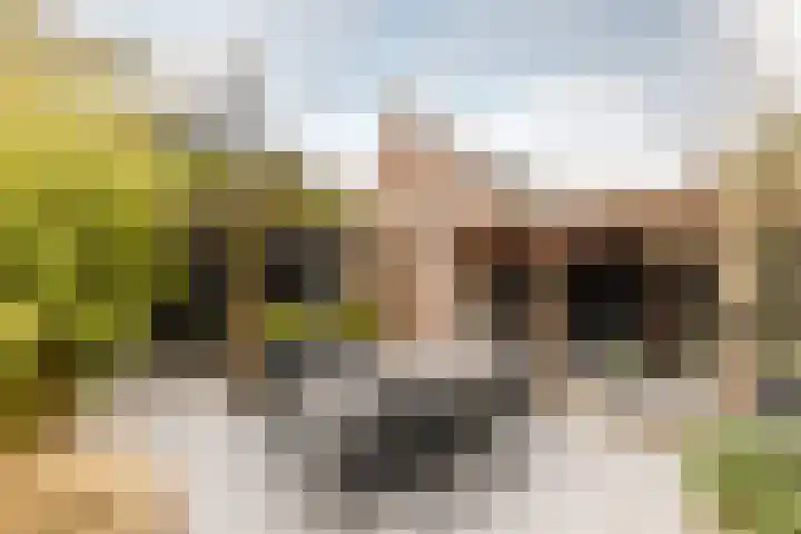 de Helleweikes 14 Oirschot thumbnail 29