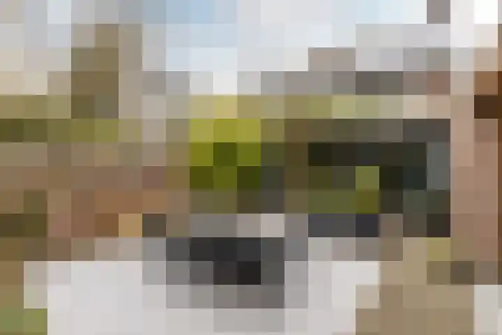 de Helleweikes 14 Oirschot thumbnail 31