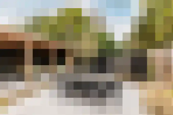 de Helleweikes 14 Oirschot thumbnail 32