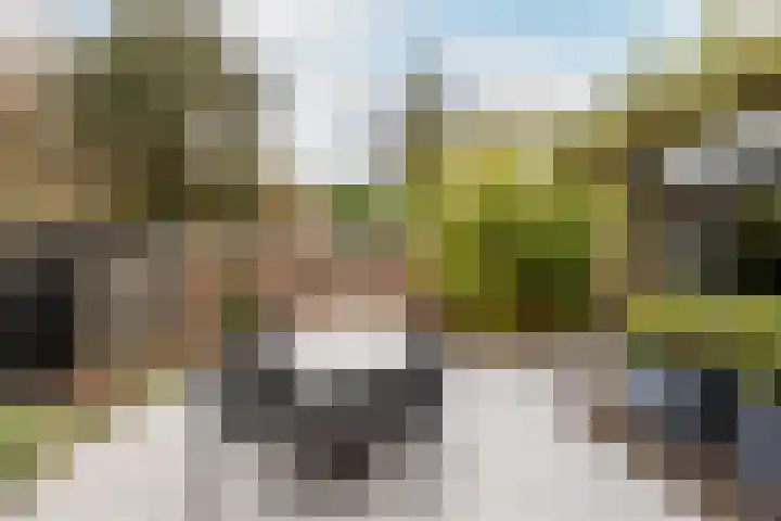 de Helleweikes 14 Oirschot thumbnail 35