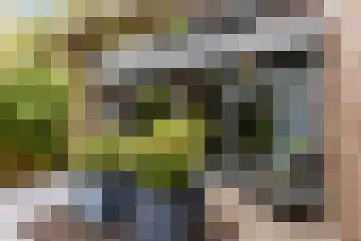 de Helleweikes 14 Oirschot thumbnail 36